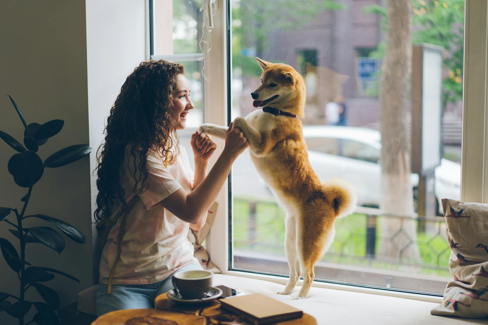 Choosing the Best Pet Insurance Reviews and Tips