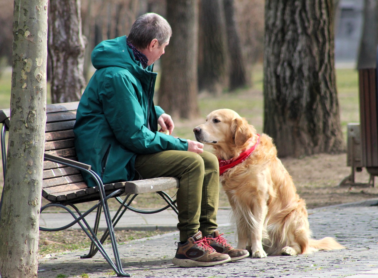 Dog Friendly Parks: Where Your Pooch Can Play and Explore